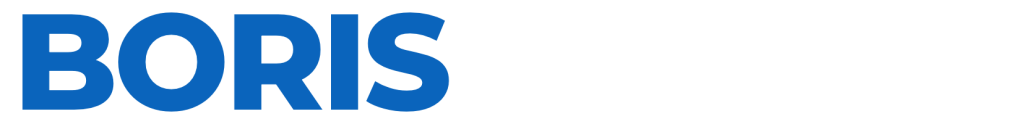 Boris Artiga Logo Blue